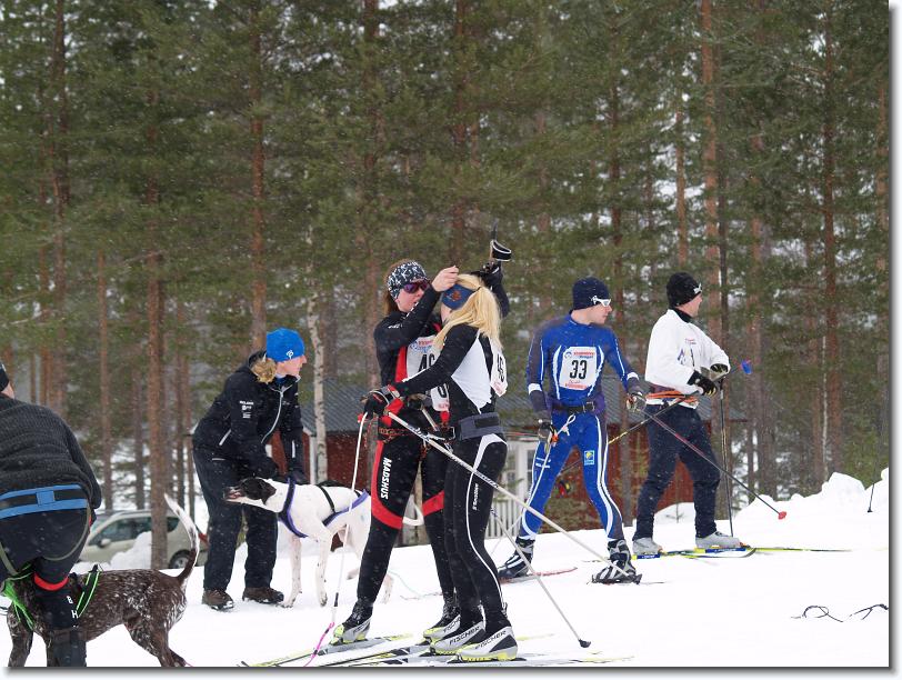 Nästa bild